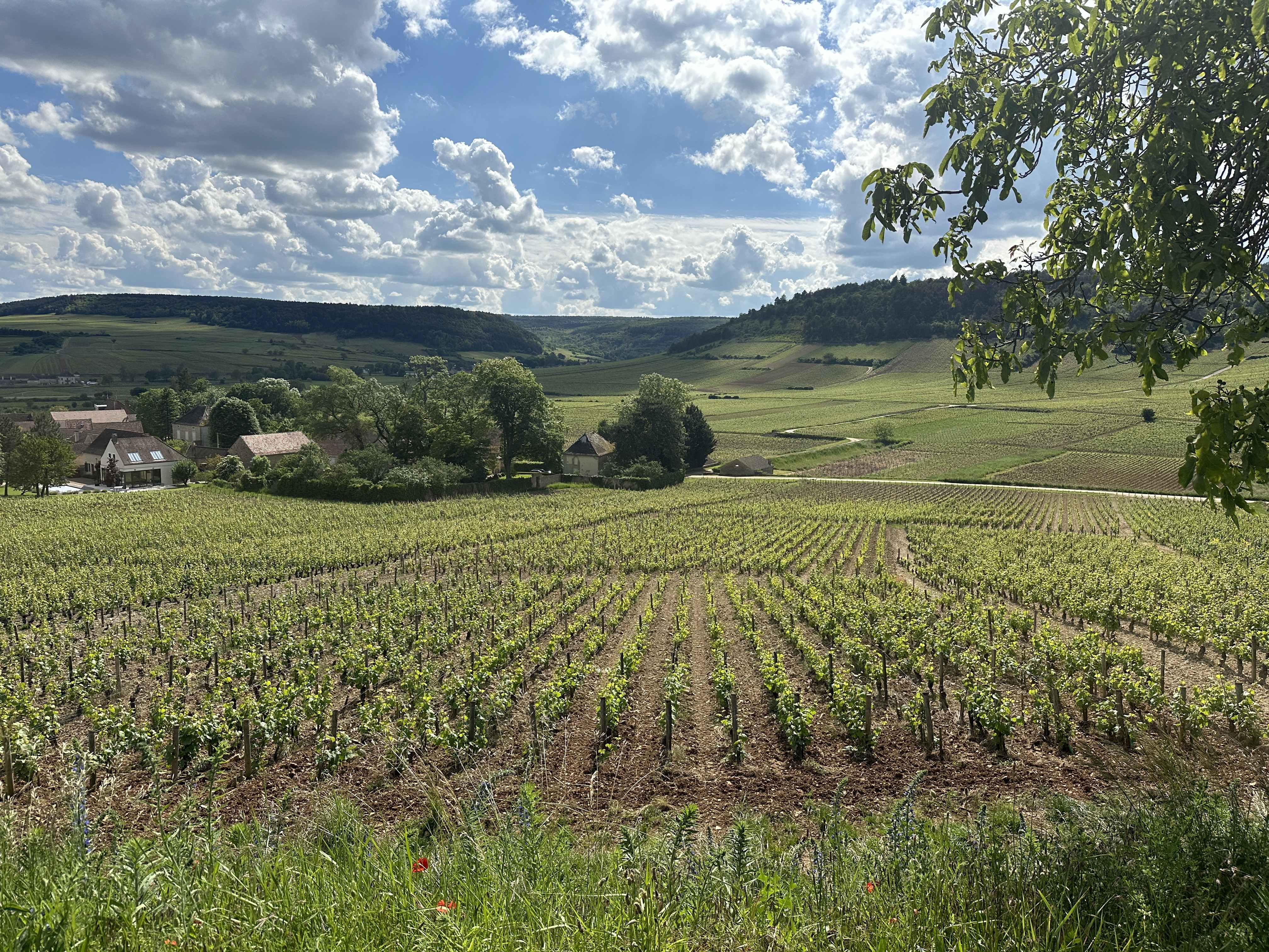 Sortie annuelle 2024 en&nbsp;Bourgogne